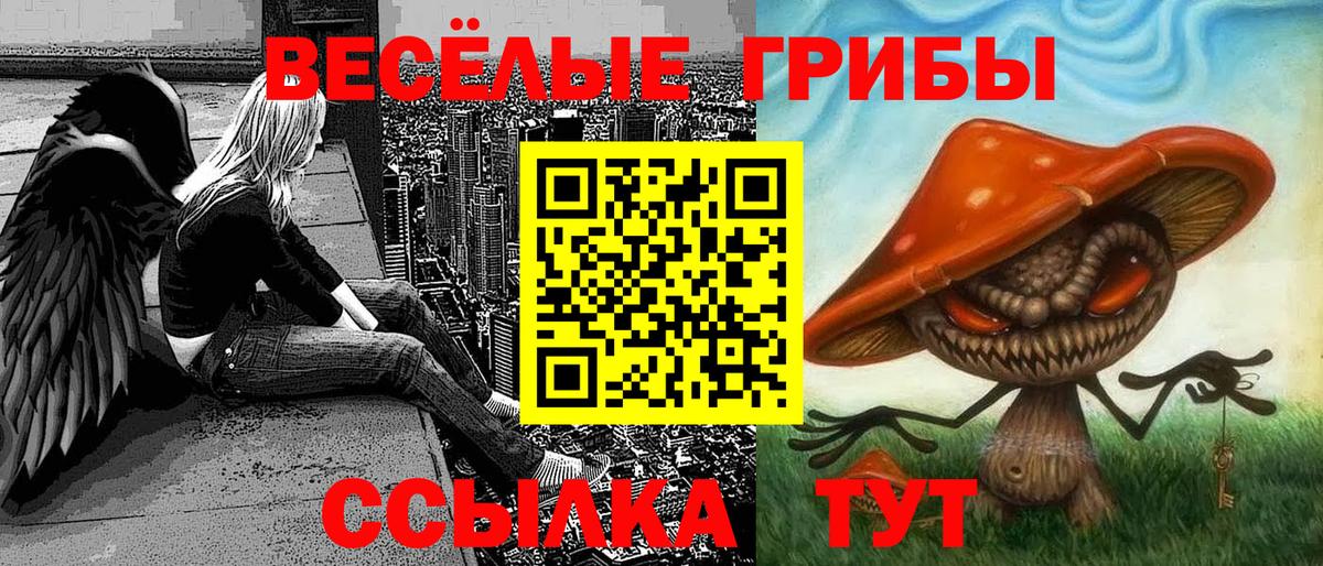 Галлюциногенные грибы ЛСД Кузнецк