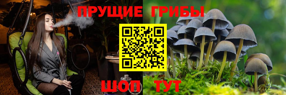 Галлюциногенные грибы мицелий  Вход с VPN  Кузнецк 